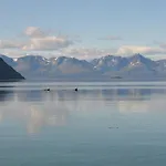 Arctic Fjordcamp * Burfjord