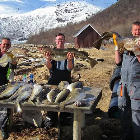 Campeggio Arctic Fjordcamp