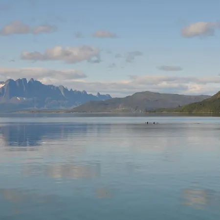 Arctic Fjordcamp