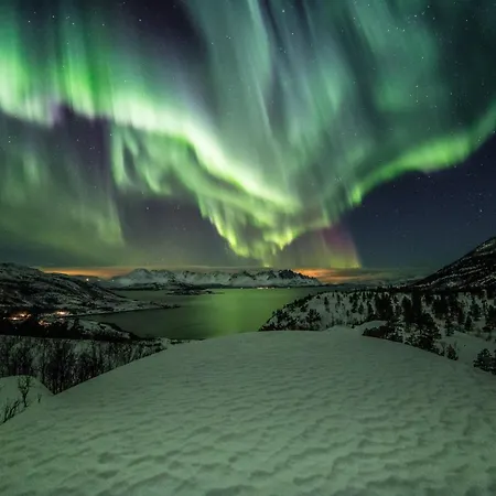 Arctic Fjordcamp Burfjord