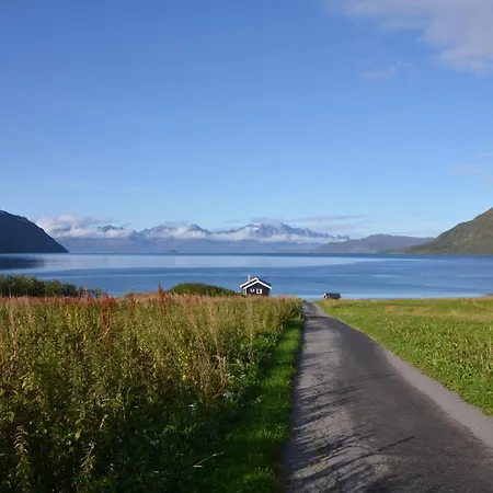 Arctic Fjordcamp 캠프장