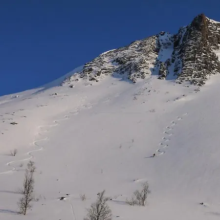 Arctic Fjordcamp 캠프장 Burfjord