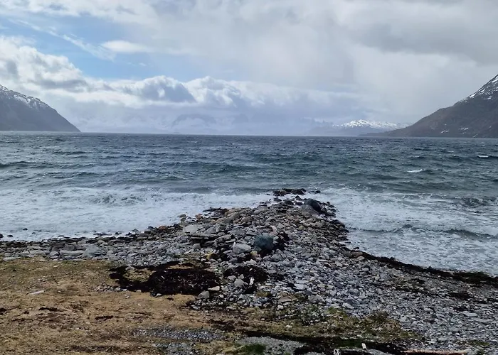 Arctic Fjordcamp *