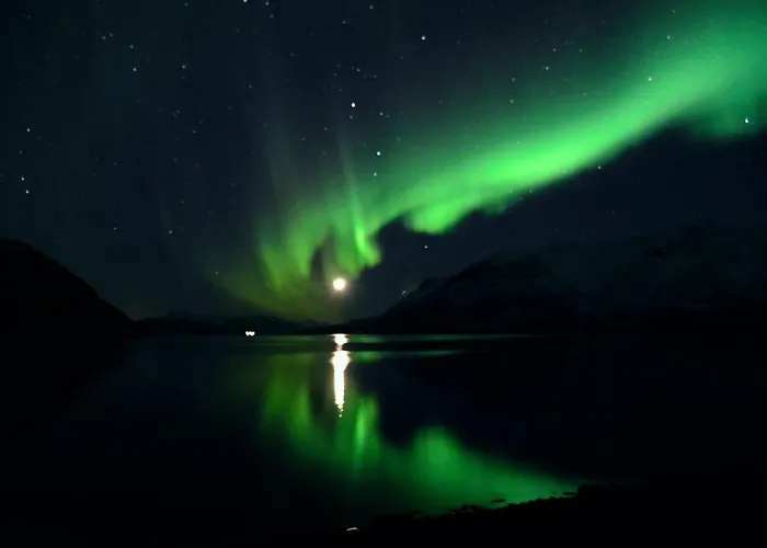 Arctic Fjordcamp Burfjord