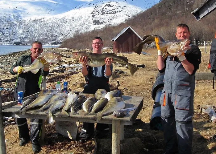 Campingplads Arctic Fjordcamp