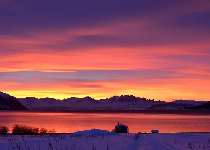 Campingplads Arctic Fjordcamp *