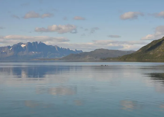 Arctic Fjordcamp