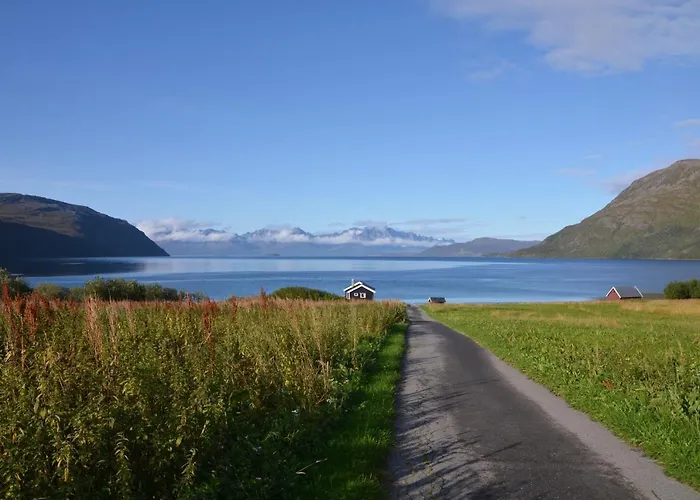 Arctic Fjordcamp Campingplads