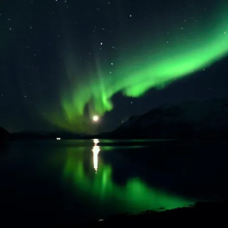 Arctic Fjordcamp Burfjord