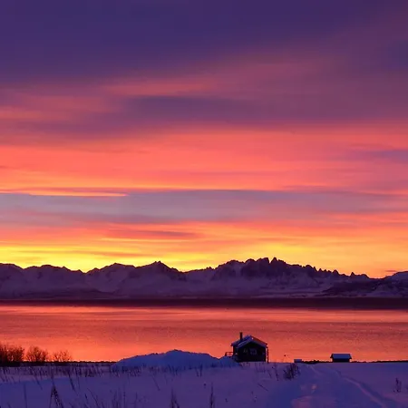 Camping Arctic Fjordcamp *